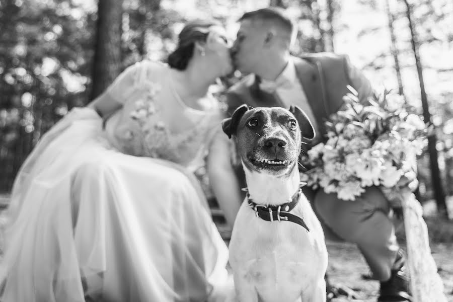 Fotógrafo de casamento Kirill Andrianov (kirimbay). Foto de 14 de setembro 2019