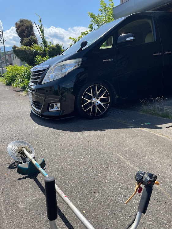 アルファードの草刈り・水分補給を忘れずに👍・車高詐欺・ご冥福をお祈りします・いつもイイネ&コメントありがとうございます🙇‍♂️に関するカスタム事例の投稿画像1枚目