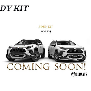 RAV4 MXAA54