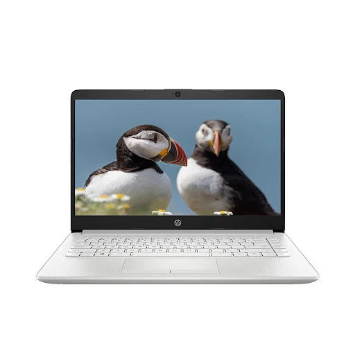 Máy tính xách tay/ Laptop HP 14s-cf2527TU (4K4A1PA)(i3-10110U)(Bạc)