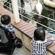 淨園機場咖啡休閒農場