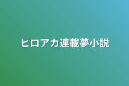 ヒロアカ連載夢小説