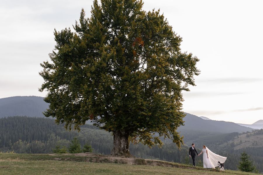 Fotografo di matrimoni Volodymyr Gerasymchuk (vgerasymchuk). Foto del 13 ottobre 2021