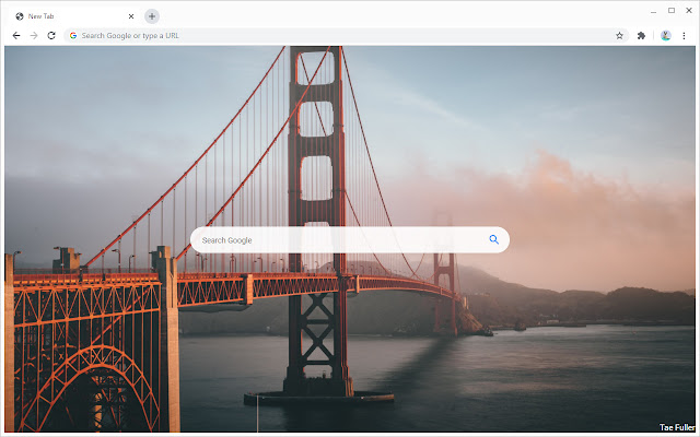 Search Module for Google Chrome™