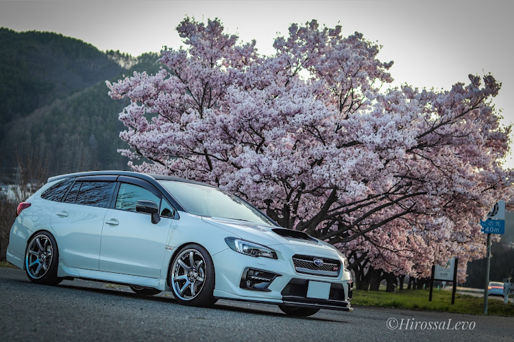 レヴォーグの早朝カメ活・高遠コヒガンザクラ・サクラコラボ・桜並木・桜並木の下でに関するカスタム事例の投稿画像8枚目