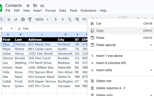 Tabbed Copy/Paste to Form Fields screenshot 2