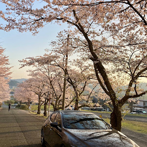 MAZDA3 BP8P