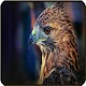 Download Falcon wallpaper For PC Windows and Mac 1.0