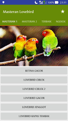 Masteran Lovebird Ngekek Offline MP3