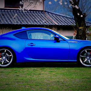 BRZ ZC6