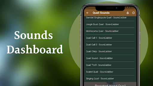 Screenshot Quail Sounds & Calls