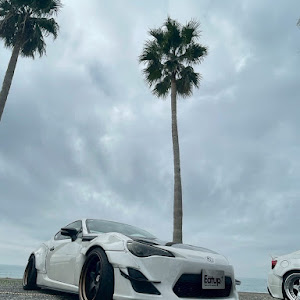 86 ZN6
