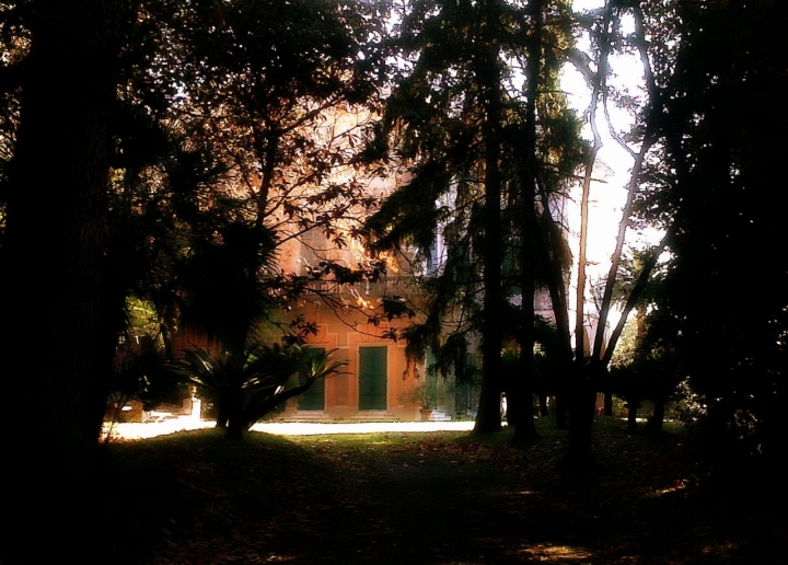 La casa nel bosco di anser