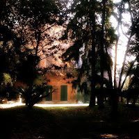 La casa nel bosco di 