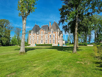château à Aubigny-sur-Nère (18)