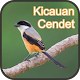 Download Kicauan Cendet Gacor - Offline For PC Windows and Mac 1.0