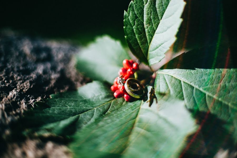 Vestuvių fotografas Anastasiya Smirnova (parabellum). Nuotrauka 2015 lapkričio 29