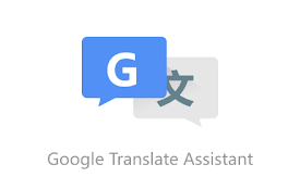 google tradutor extension safari