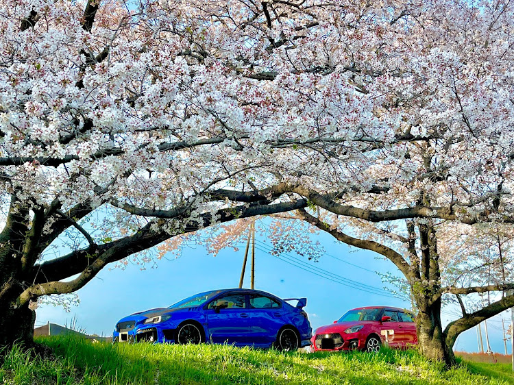 WRX S4の目指せPickUpCars・こだま千本桜・ジャパン峠プロジェクト・桜とコラボ・ダムカード収集に関するカスタム事例の投稿画像26枚目
