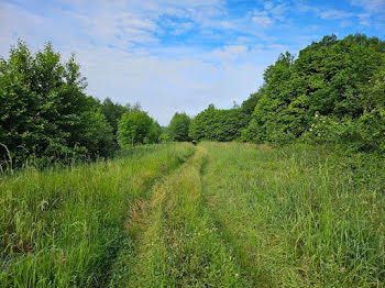 terrain à Pinon (02)