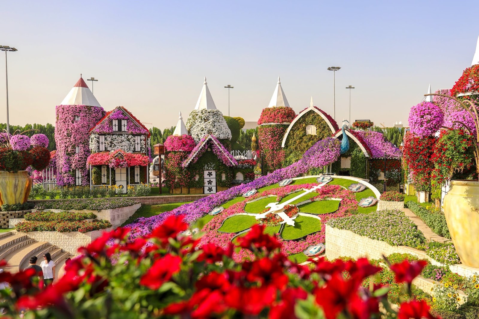 Butterfly Garden of Dubai Historic Marvel 