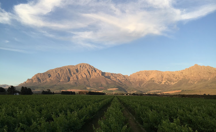 Breedekloof Wine Valley.