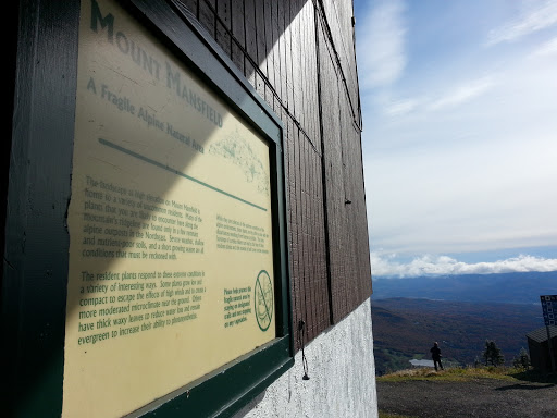 A Fragile Alpine Environment