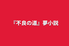 『不良の道』夢小説