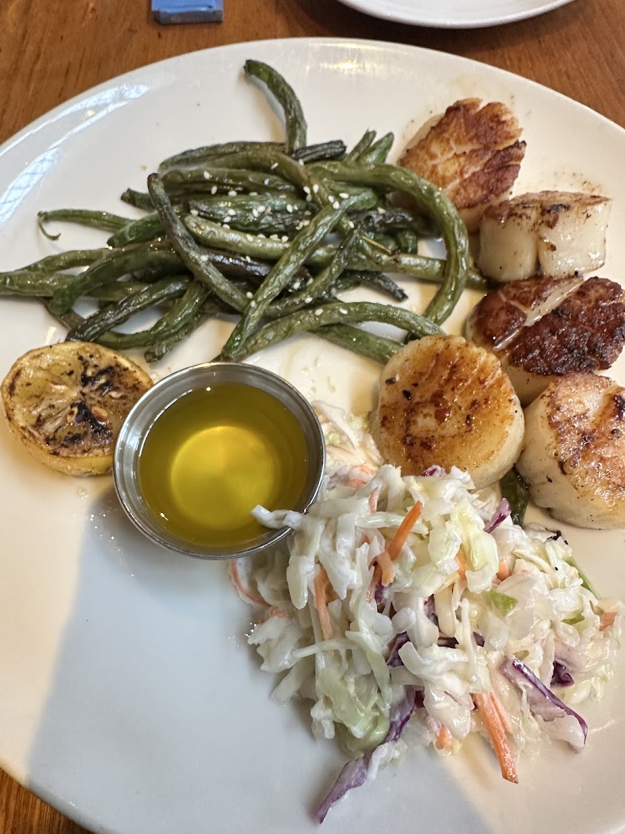 Grilled Scallops, green beans, and coleslaw