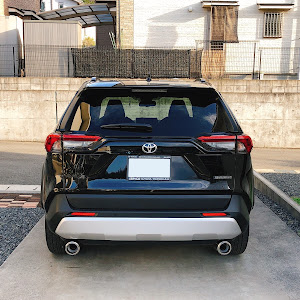 RAV4 MXAA54