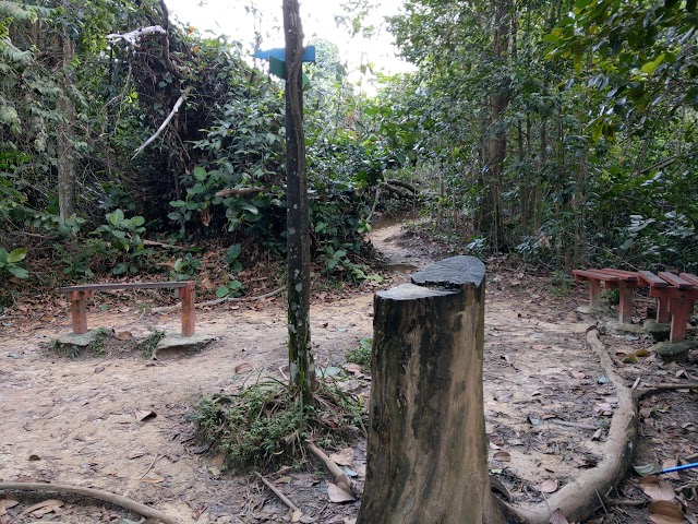 Bukit Gasing trail with benches