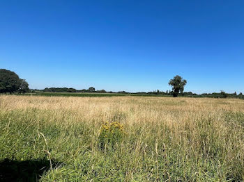 terrain à Saint-Jammes (64)