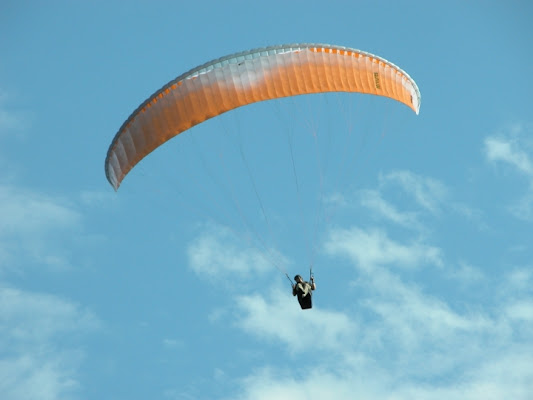 Parapendio di alfoone