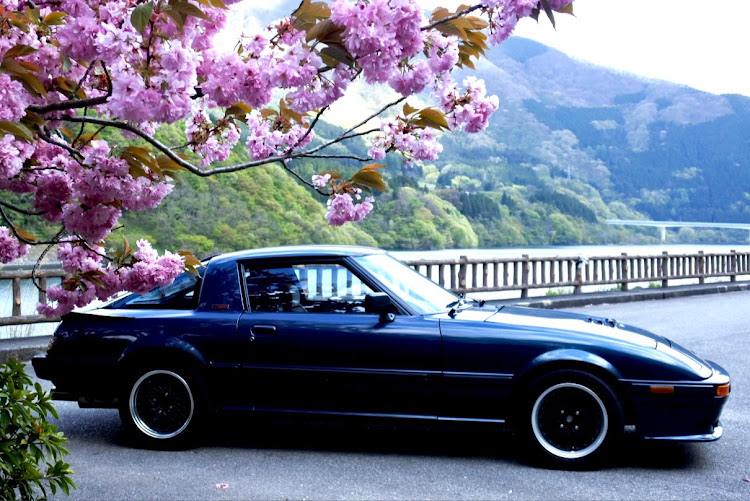サバンナRX-7のサクラと愛車・4月もよろしくお願い致します🌸・ロータリー・マツダに関するカスタム事例の投稿画像2枚目