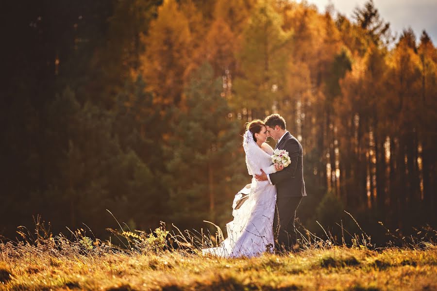 Wedding photographer Vladimír Droblienka (droblienka). Photo of 2 January 2017