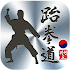 Taekwondo Poomsae Master Black1.3.2