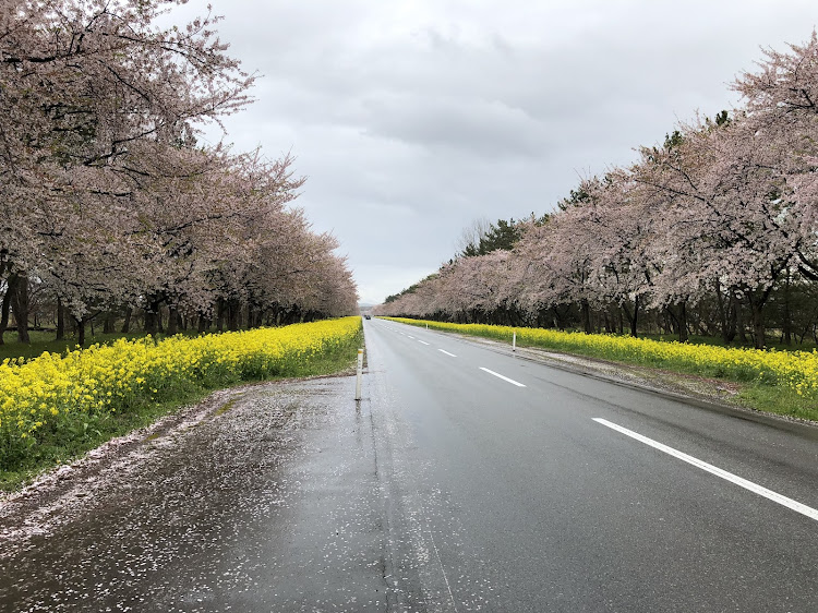 の投稿画像2枚目