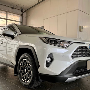 RAV4 AXAH54