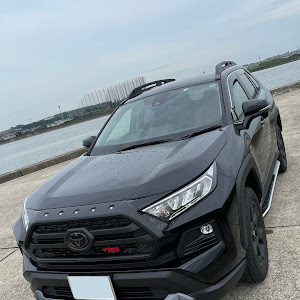 RAV4 AXAP54