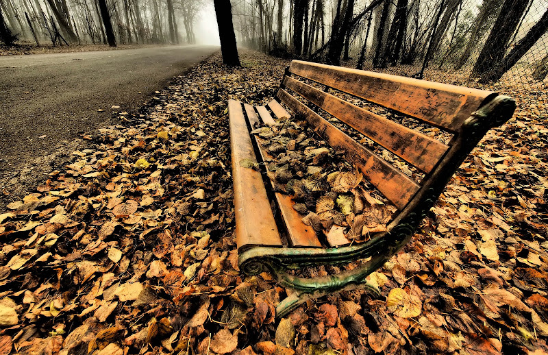 RIFLESSIONI D'AUTUNNO di Paguzzi