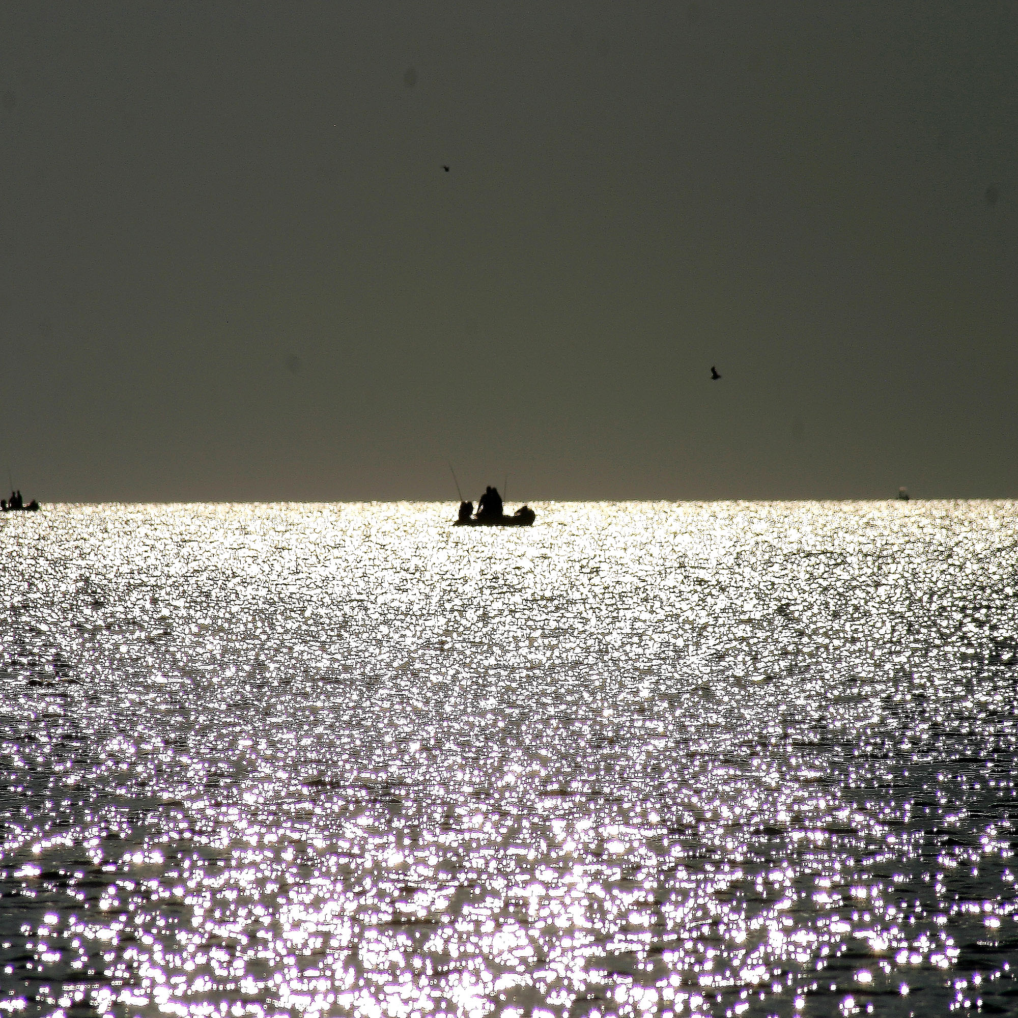 Pescatori all'alba di fabio pelosi