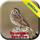 Download Savannah Sparrow For PC Windows and Mac 1.0