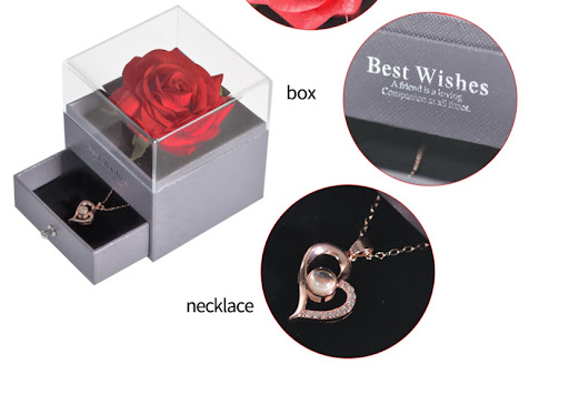 Title 10, Preserved Flower Acrylic Jewelry Box With Neckl...