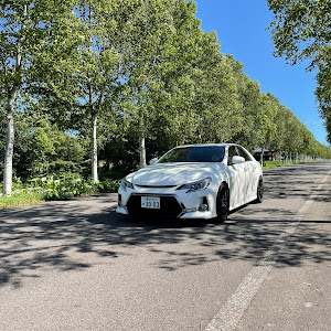 マークX G's
