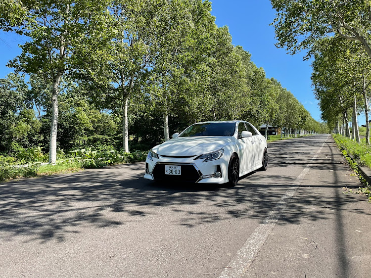 マークX G'sの八雲パノラマパーク・白樺並木・北海道に関するカスタム事例の投稿画像1枚目