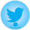 Item logo image for Twitter Gif & Video Downloader