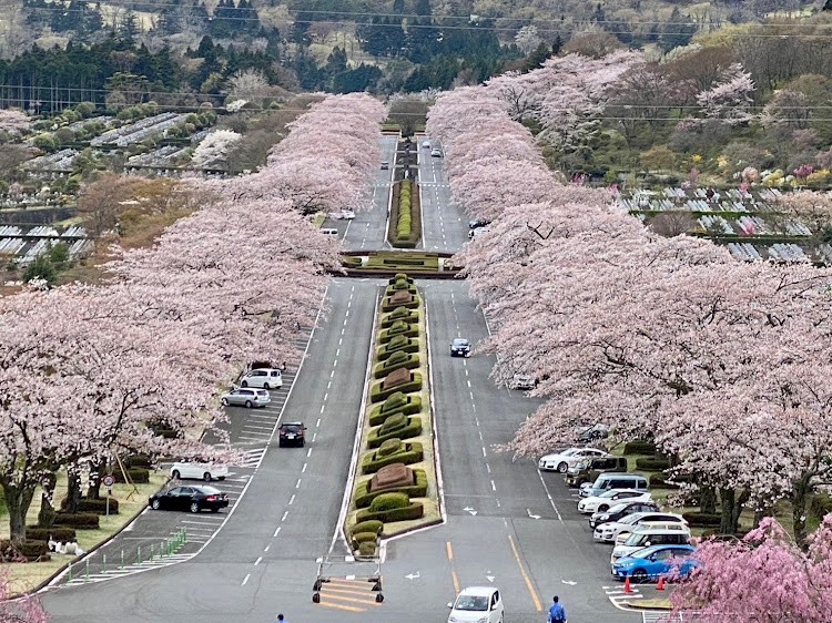 の投稿画像3枚目