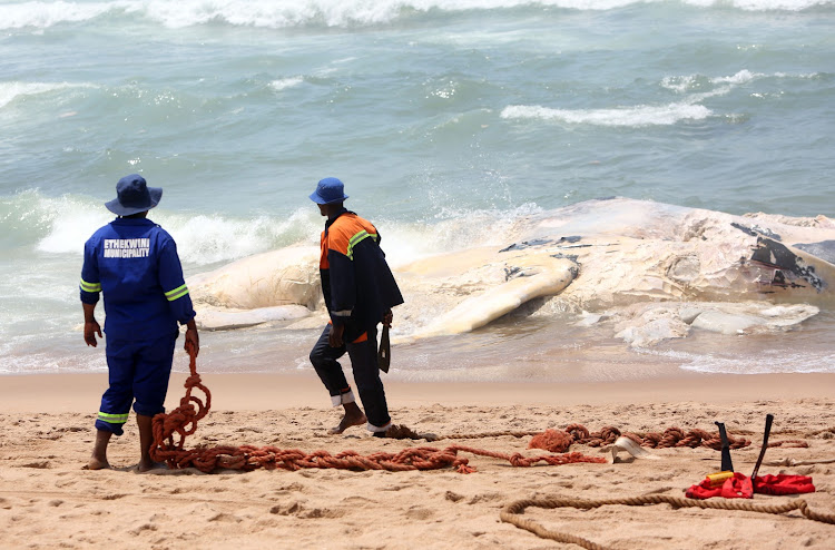 Officials work on removing a humpback whale carcass that washed up on Umhlanga's premier beach in front of the Beverly Hills and Oysterbox hotel on October 20 2018