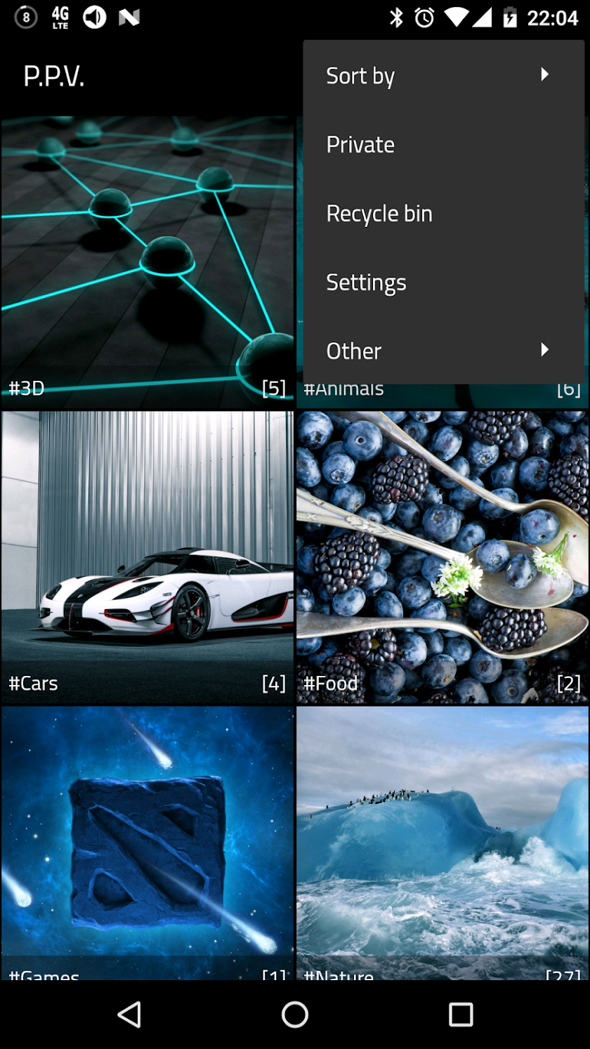 Private Photo Viewer Screen 2