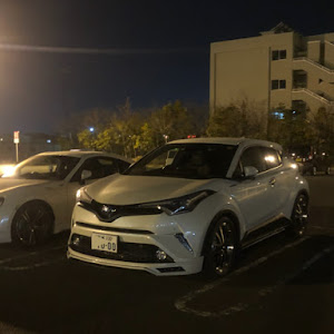 C-HR ZYX10